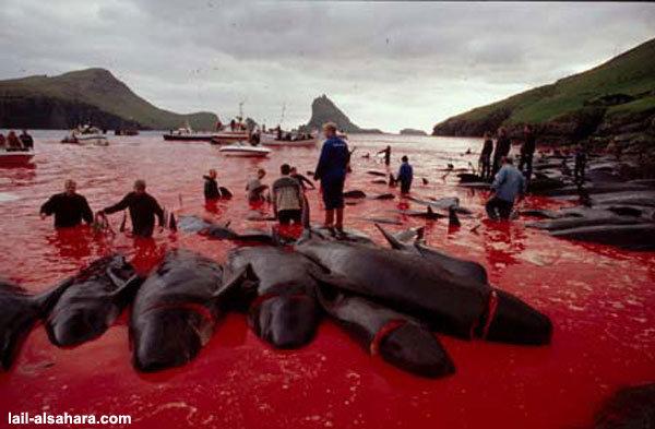 World Shame