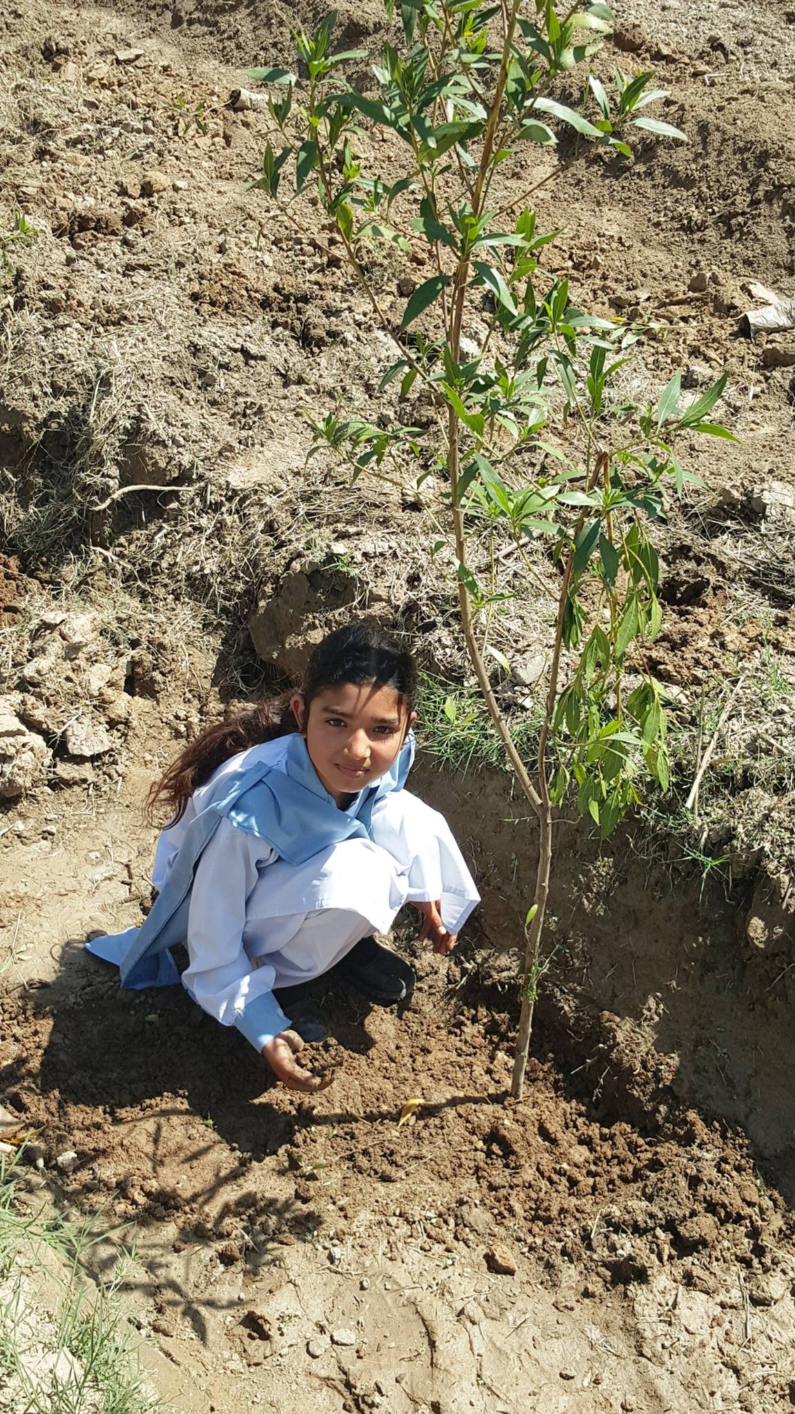 World Forest Day
