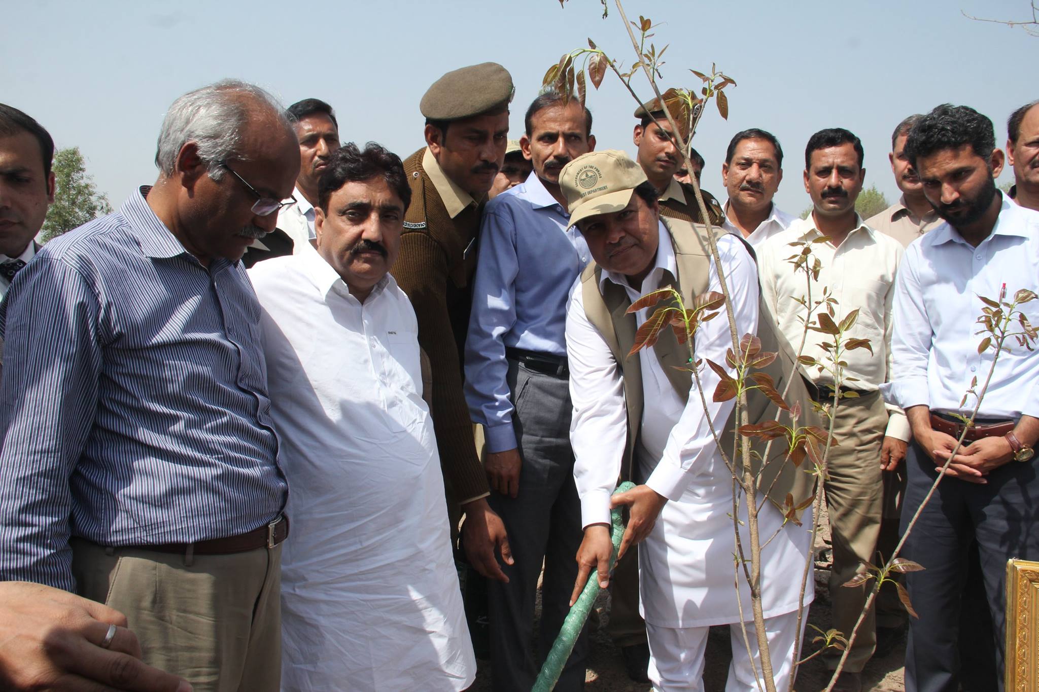 World Forest Day Plantation