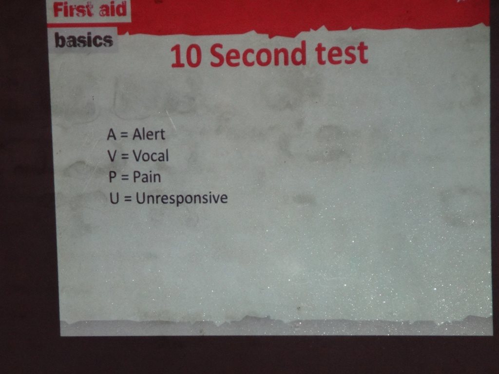 First Aid Scout Training